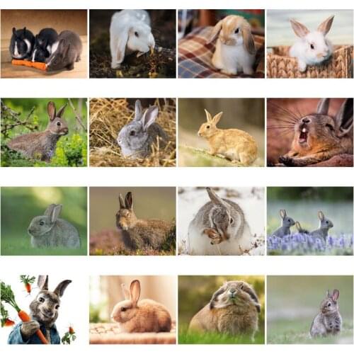 Full Square Round Diamond Embroidery Diy Diamond Painting Cross Stitch Drill Wild Rabbit Pictures of Rhinestones for Home Decor