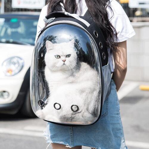Portable Breathable Cat Backpack Capsule Pet Basket pet outdoor Travel bag Dog Cat Space Transparent Carrying Cages Cat Carrier