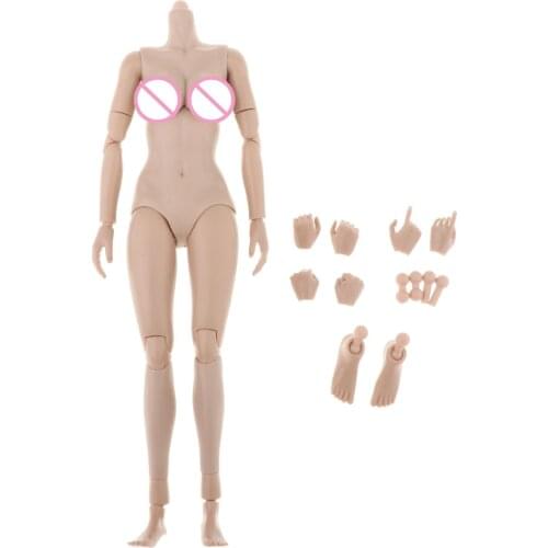 Female Body Super-Flexible Joints 250mm Tall Large Breast 1/6 Action Figures