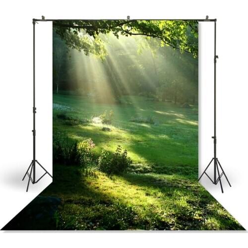 HUAYI Photography Backdrop Newborn Baby Child Photo Booth Background Spring Sun Green Forest Easter Studio Photo BackdropXT-2445
