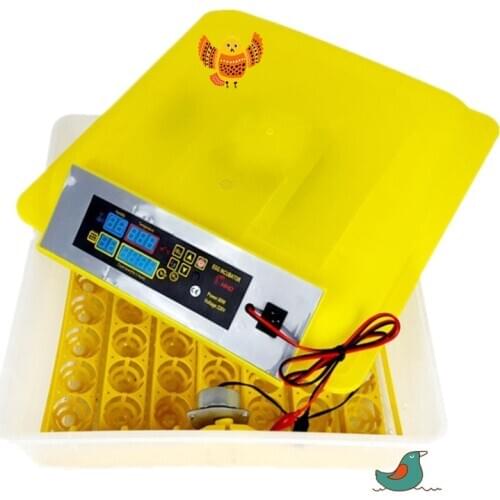 Dual power 48 eggs hatching machine