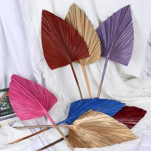 Palm Fan Leaf Dried Flower Palm Leaf Window Reception Party Art Wall Hanging Decoration Wedding Arch Arrangement