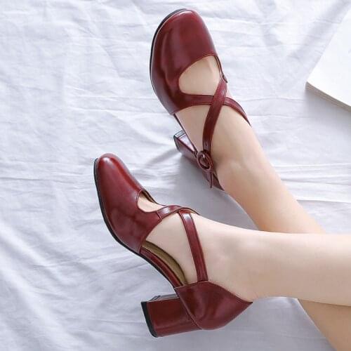 Chunky Heels Women Shoes Block High Heels Ankle Strap Ladies Pumps 5cm Square Toe Spring Summer Female Work Shoes Brown Grey