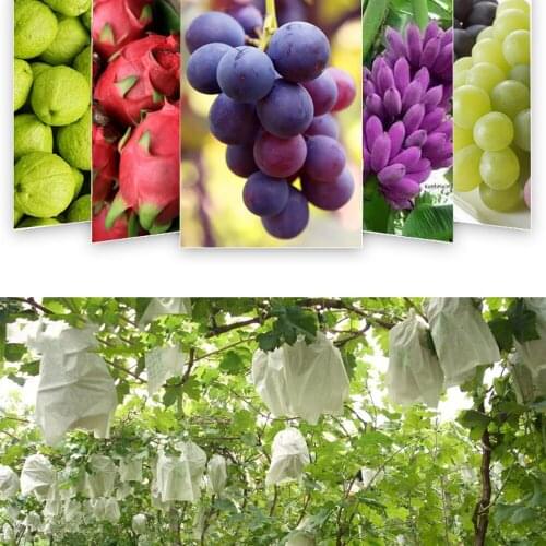 100pcs Grape Protection Bags Mesh Bag For Fruit Vegetable Insect Against