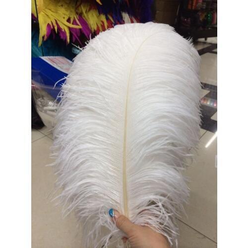 Free shipping 10 PCS beautiful natural white ostrich feather 40-45 cm / 16 to18 inches