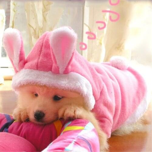 Pet Cat Dog Clothes Costume Puppy Clothes Hoodies Cute Rabbit Clothing Small Animals Fleece Warm Jacket Outfit Accessories