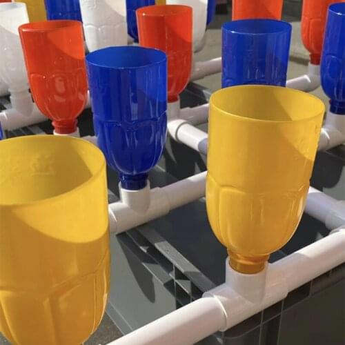 GY Siphon Planting Cup Fish Symbiosis Rainbow Bottle Tide Planting Cup Hydroponic Seedling 20 PCs 32mm Socket Tight