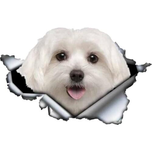 Self-adhesive Decal Poodles Car Sticker Waterproof Auto Decors on Bumper Rear Window B0100