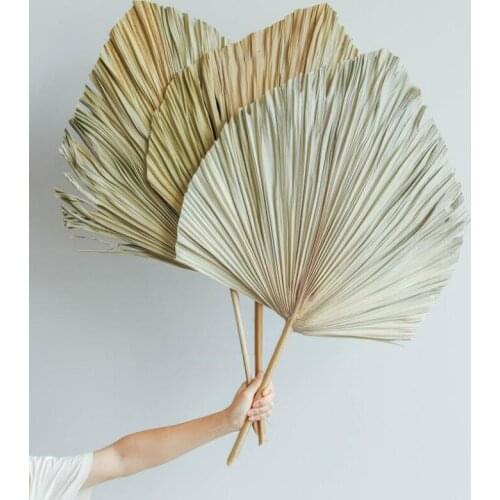 Popular Natural Dried Flower Palm Leaf Palm Spear Wall Hanging Wedding Arch Home Decor Vintage nature dried palm leaves home