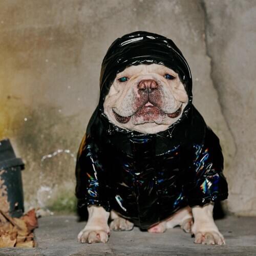 Fashion Pet Dog Down Jacket Wear Dogs Puppy Snowsuit Winter Warm Sweater Jumper Schnauzer Pug French Bulldog Hoodie Coat YHC44