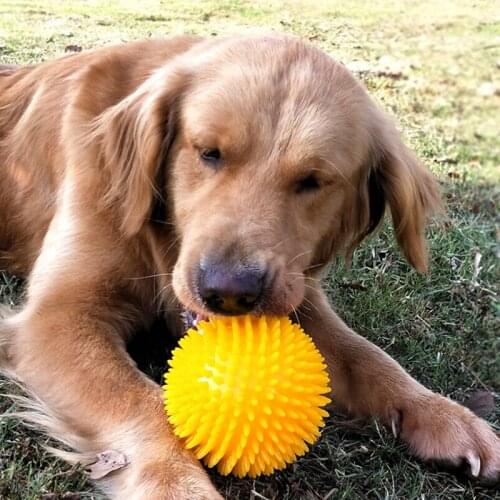 Dog Toy Pet Rubber Balls Toys Squeak New Rubber Ball Toy Dog Pet Fun Squeak Ball Biting Chewing Toys Training Play Teeth Clean