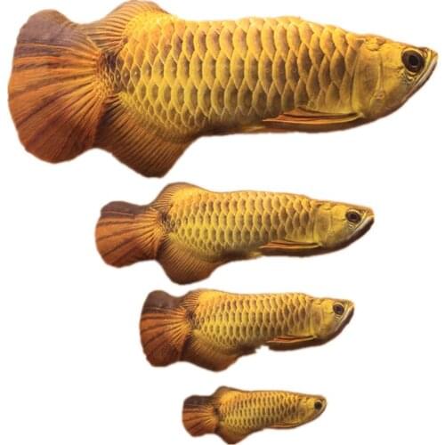 Simulation Fish Cat Pillow Toy Pet Plush Catnip Fish Carp Toy Funny Cat Garden Decoration Accessories Animal Home Accessories