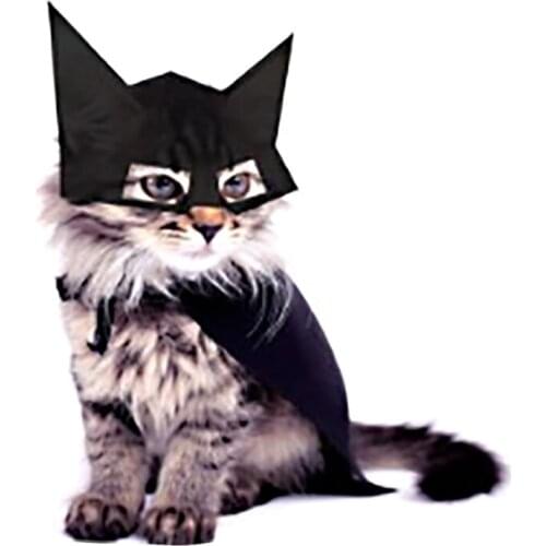 Pet Bat Hat Bat Costume for Cat and Dog Cool Halloween Party Accessories with Elastic Strap One Size Adjustable