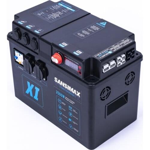 Custom Lithium Iron Phosphate LiFePO4 12V 24V 36V 48V 100ah 120ah 150ah 200ah 250ah Battery Pack with BMS