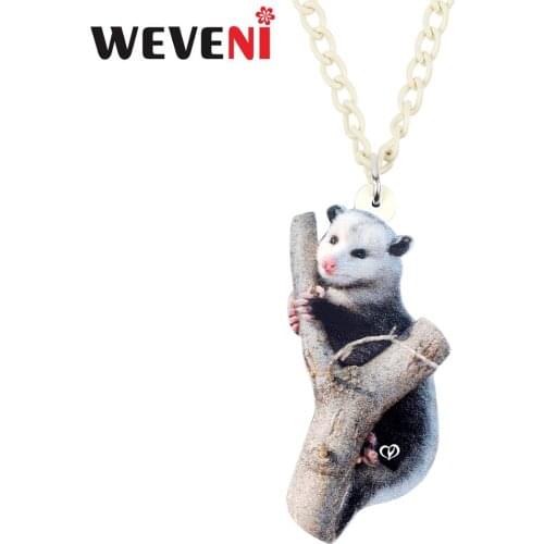 WEVENI Acrylic Cute Pink Nose Possum Necklace Pendant Chain Collar Unique Animal Jewelry For Women Girls Teens Charms Gift