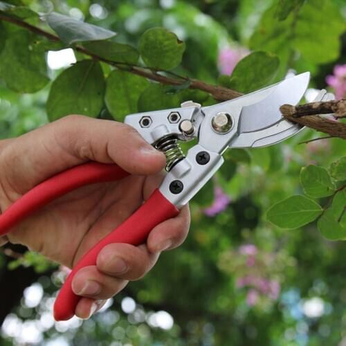8inch Gardening Secateurs Grafting Tool High Carbon Steel Cutting Pruners Fruit Tree Bonsai Pruning Shears Garden Pruners Tools