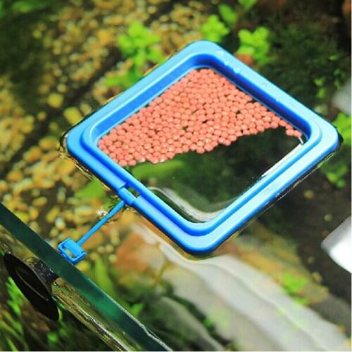 Feeder Station Fish Feeding Aquarium Fish Tank Ring Floating Food Water Plant Buoyancy Circle Home Feeding Ring Aquarium Fish