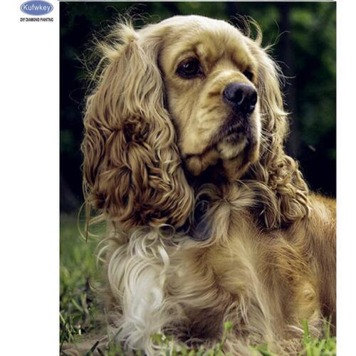 Dog,5d,DIY Diamond Painting Cross Stitch poodle dog Needlework Square Diamond Embroidery Home Decoration diamond Mosaic Kits