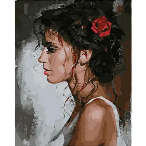 Frameless diy picture oil paintings by numbers wall decor painting on canvas for home decor 4050cm lady with rose