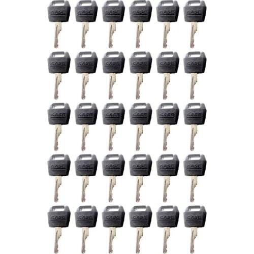30pc Ignition Key Fits Case Skid Steer 760 921 1150G 1845C 5230 85XT