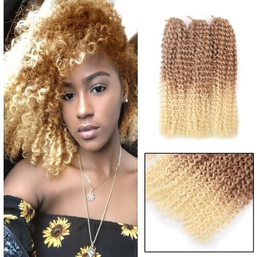 12"Inches MarlyBob Crochet Braids 3PCS/pack Afro Kinky Curly Hair Ombre 24 Roots/Pack Synthetic Crochet Braiding Hair Weave