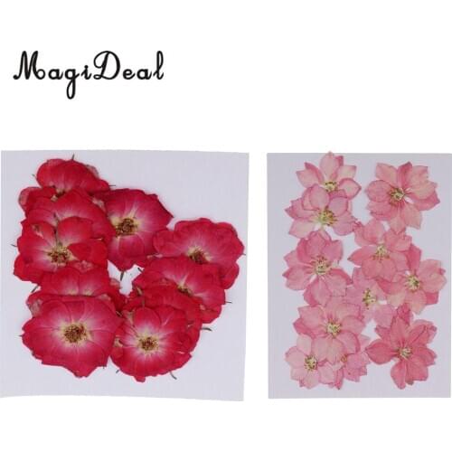 22x Real Dried Real Flower Delphinium Rose for Jewelry Making DIY Pendants Charms Resin Casting Crafts Decoration 2-3cm