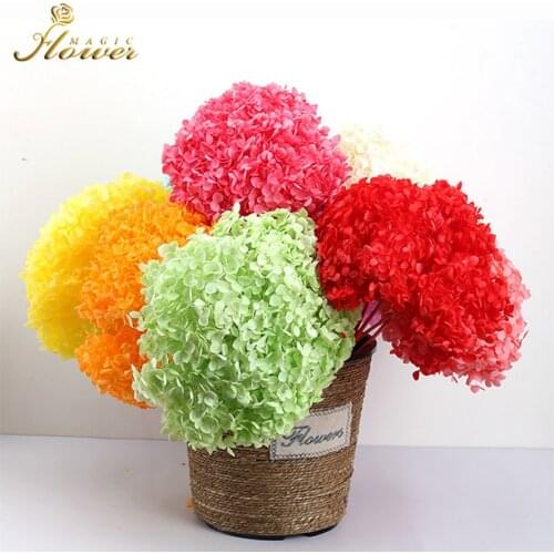 Real Immortal Hydrangea Flower Fall Party Decor Home Decoration Flower Pots Decorative Cheap Fake Flowers In Vase