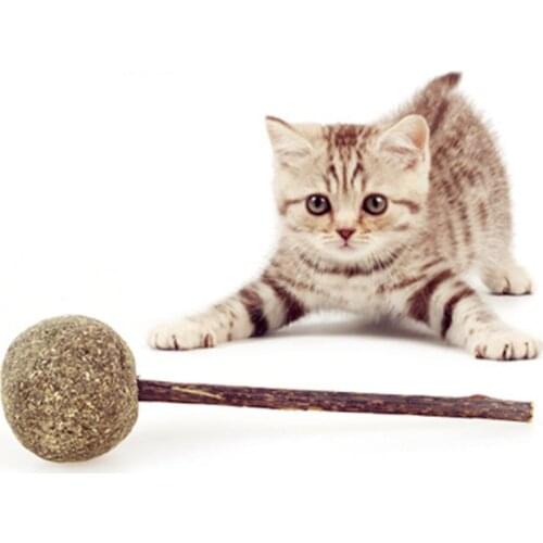 Natural Cat Catnip Toys Menthol Flavor Kitten Treat Ball Cats Playing Cleaning Teeth Toy cat love it pet supplies