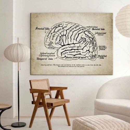 Nordic Print Brain Anatomy Illustration Vintage Poster Art Canvas Painting Doctor Office Wall Artwork Decor Medicine Gifts