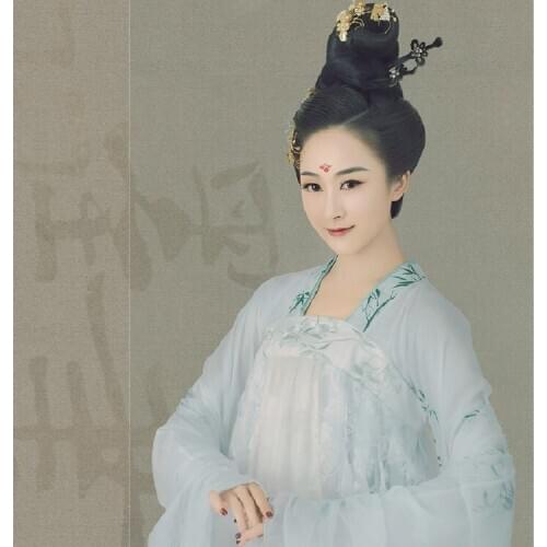 Bai Yu Mo Hua Bamboo Chiffon Costume Hanfu Tang Princess High Waist Ru Qun for Photo House or Stage Performance Costume