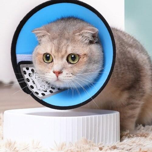 Elizabeth Cat Dog Puppy Neck Protective Circle Anti-bite Pet Dog Collar Feeding Medicine Cover Accessories For Cat