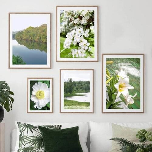 Nature Scenery Mountain River Lake Flower Wall Art Canvas Painting Nordic Posters And Prints Wall Pictures For Living Room Decor