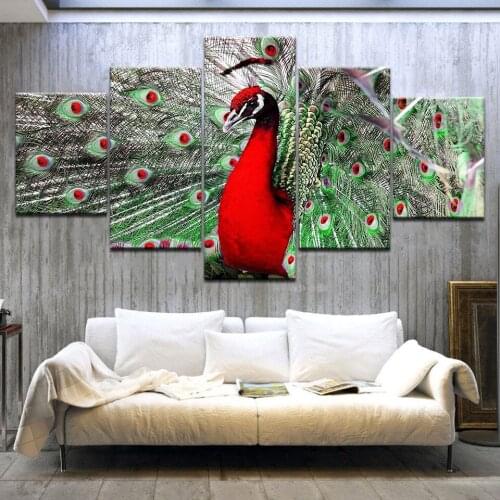 5 Panel/pieces HD Print The red peacock opens the screen animal Print On Canvas Art Painting For home living room decoration