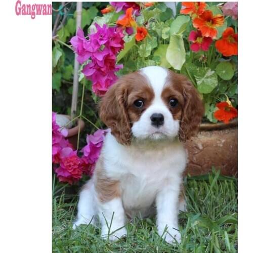 Diamond painting full square round drills Cavalier King Charles Spaniel diamond embroidey cross stitch diamond picture mosaic