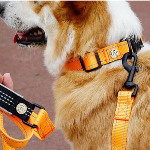 Traction Rope Collar Reflective Bite-resistant Explosion Proof Good Craftsmanship Nylon Walking Safety Leashes for Puppy