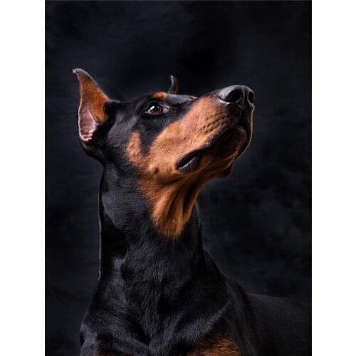 Animal Dog Doberman DIY Cross Stitch Embroidery 11CT Kits Craft Needlework Set Cotton Thread Printed Canvas Home Wholesale