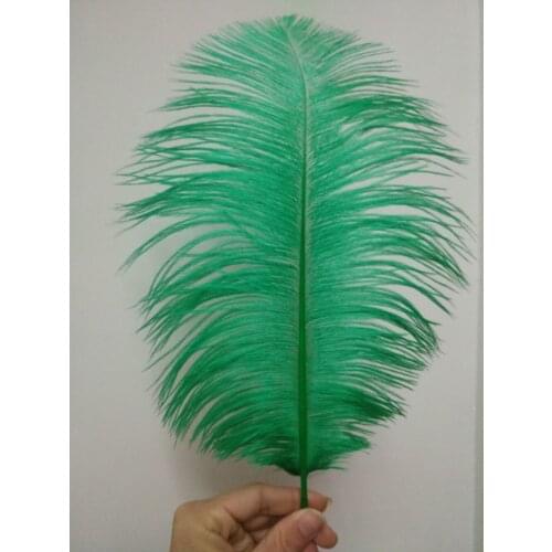 Wholesale 50 pc high quality grass green ostrich feather 12-14inches / 30-35CM diy decorative vases / Accessories / Apparel