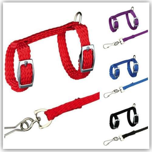 4 Colors Adjustable Nylon Harness Collar Set with Lead Leash for Small Animal Ferret Rat Hamster Rabbit Bunny Squirrel Guinea
