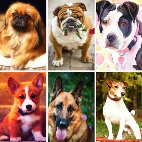 XUEQIXIAOZU 5D Diamond Painting Dog Three-dimensional Diamond Art Modeling Embroidery Painting Set Inlaid Rhinestone Handmade