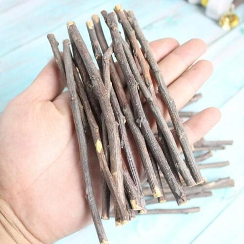 1kg Apple Wood Chew Sticks - for Hamster Guinea Pig Chinchillas Gerbils Groundhog Squirrels Rodent Animals