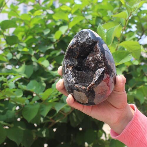 1190g Natural curvature of the furnishing articles Turtle grain stone egg Ball Septarian nodule Fossil Crystal Healing quartz
