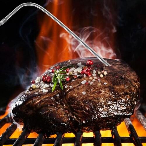 Waterproof Thermometer Hybrid Probe Replacement for Digital Cooking Food Meat Thermometer W0YF