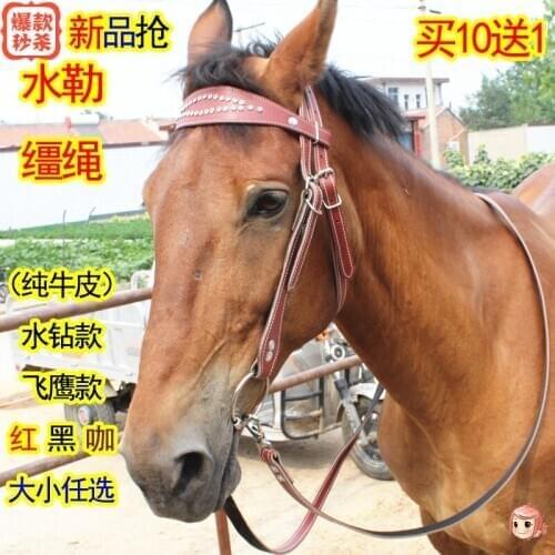 Water Lere Reins Cowhide Horse Bits Full Set Supplies Harness Size Pony Cage Pure Cowhide Horse Headstall