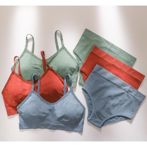 Seamless Top Comfort Bra Set Women Bra Panties Set High Rise Briefs Active Bra Sexy Lingerie Set Fitness Crop Top Underwear