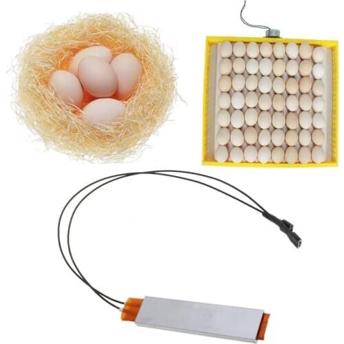 Heating Incubator Heater Element Plate For Egg Incubator Accessories 110V 220V egg incubator Farm Animals Accessories