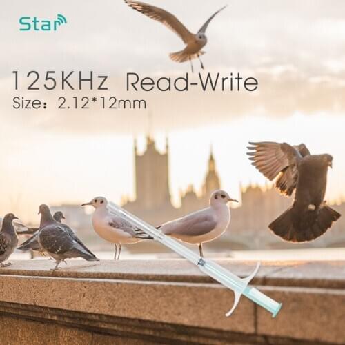 Fdx-A Veterinary Animal Syringe With T5577 Chips 125khz Animal Rfid Glass Capsule Tag Set X90