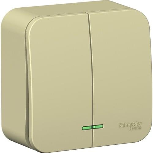 Schneider Electric Rocker Switches