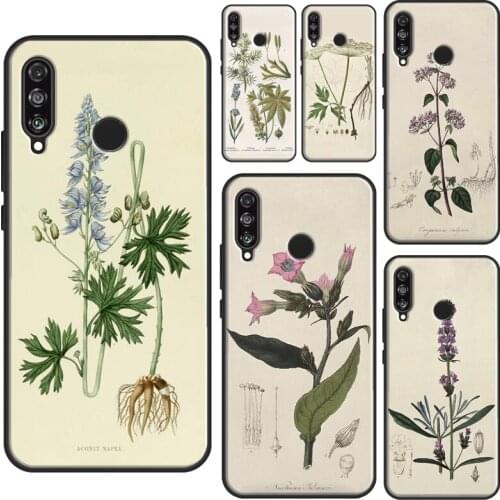 Botanical Drawings Flowers Plants For Huawei P30 Lite P40 P20 Pro Nova 5T P Smart 2019 Case For Honor 10X Lite 9X 8X 10i