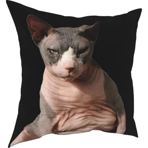 Giant Hairless Cat Animal Pet Pillowcase Printed Polyester Cushion Cover Decoration Throw Pillow Case Cover Seater 45*45cm
