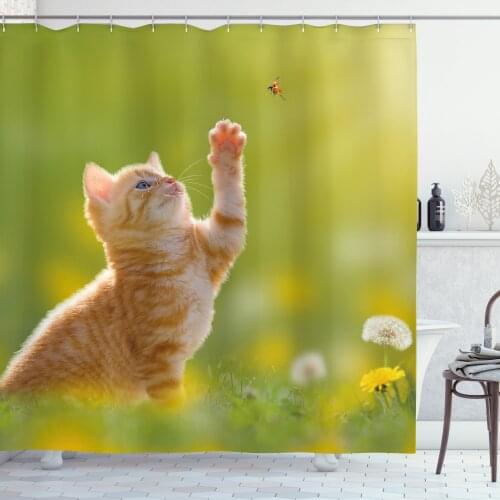 Cat Kitten Shower Curtain Set Baby Kitty on Blurry Meadow Back Curtain for Bathroom Decor 12 Hooks Decorative Bath Accessory